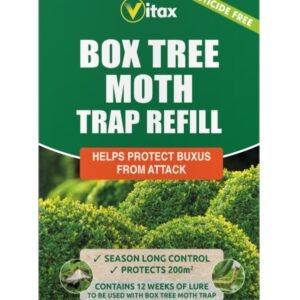 Buxus Moth Trap Refill