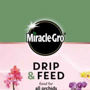 Drip & Feed Orchid
