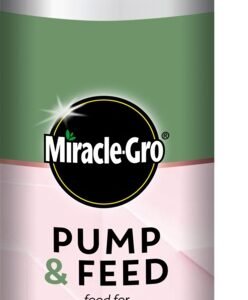 Pump & Feed Orchid