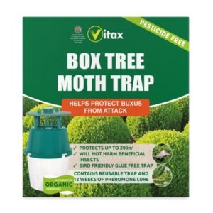Buxus Moth Trap