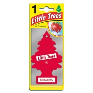 Little Trees