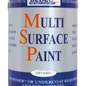 Multi Surface Paint