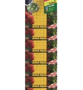 Greenhouse Insect Catcher Pack 5