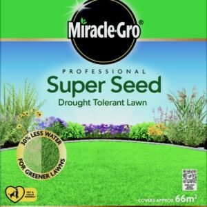 Professional Super Seed Drought Tolerant Lawn