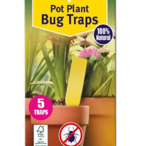 Pot Plant Bug Traps