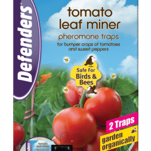 Tomato Leaf Miner Pheromone Trap