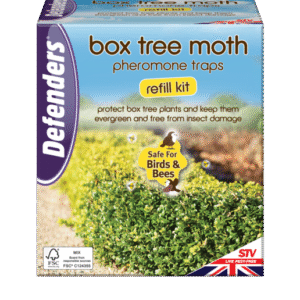 Box Tree Moth Pheromone Trap