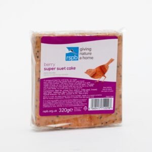 Super Suet Cake With Berry